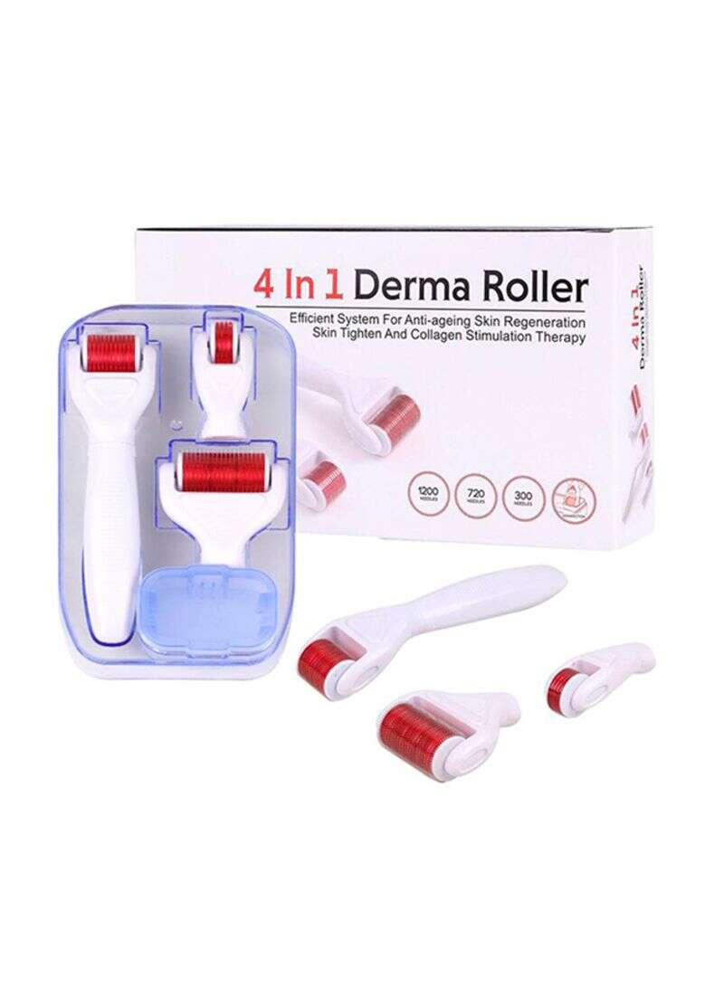 DERMA ROLLER 4 IN 1 Minoustore